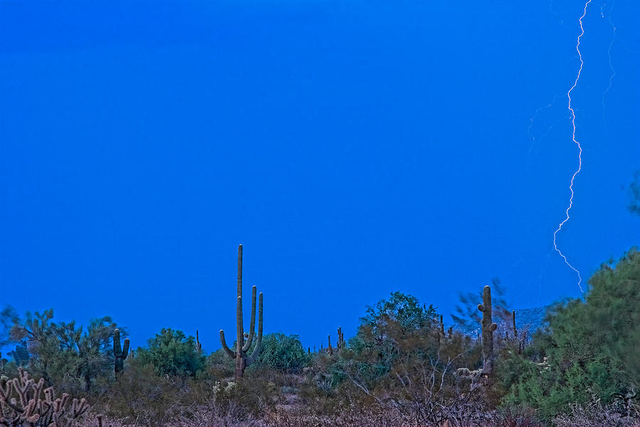 Arizona Desert Landscape  Photograph by James BO Insogna