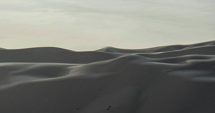 Arizona Desert Sand Dunes Photograph by William Kimble