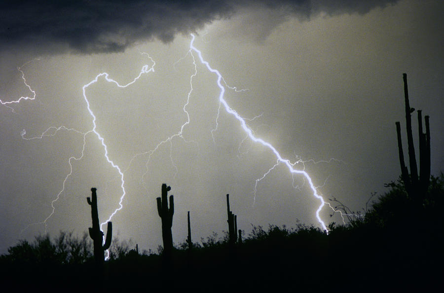 Arizona Desert Storm Photograph by James BO Insogna