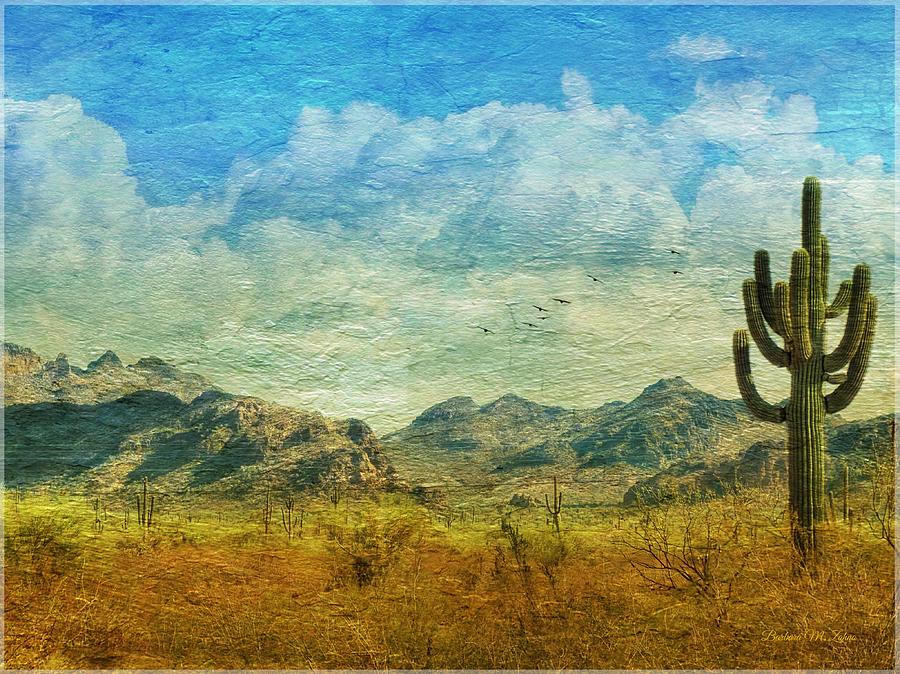 Arizona Desert View Photograph by Barbara Zahno