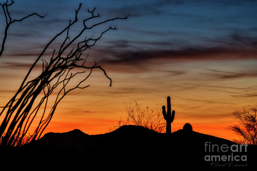 Arizona Dusk Photograph by David Arment