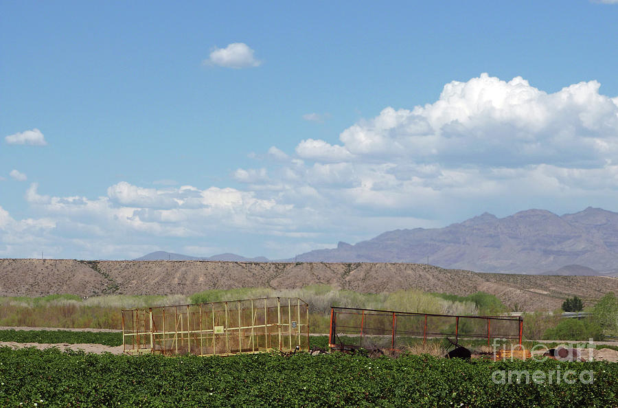 Desert Photograph - Arizona Farming by Two Hivelys