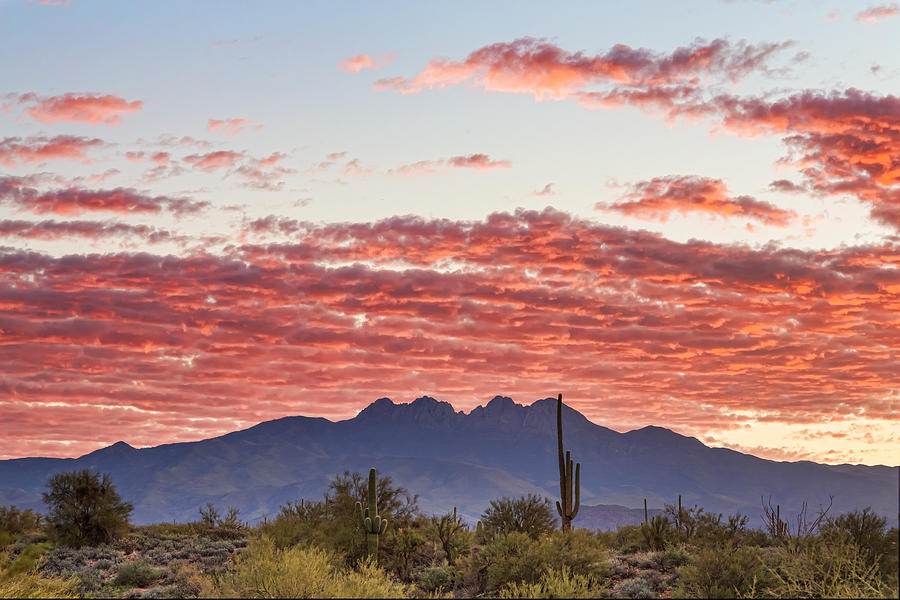 Mountain Photograph - Arizona Four Peaks Mountain Colorful View by James BO Insogna