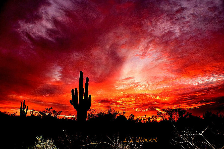 Sunset Photograph - Arizona Glory by L L Stewart