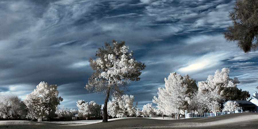 Arizona Golf Course Infrared Photograph by Cory Shubert - Pixels