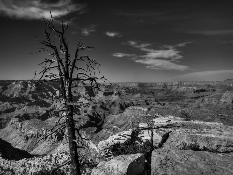 Arizona - Grand Canyon 013 Photograph by Lance Vaughn