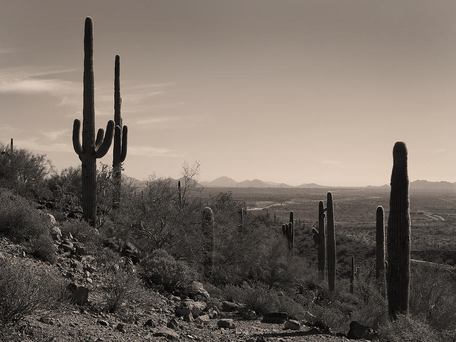 Mountain Photograph - Arizona Icons by Gordon Beck
