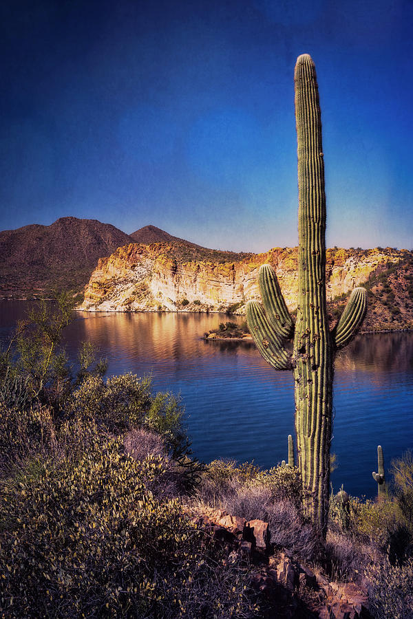 Arizona Lakeside  Photograph by Saija Lehtonen