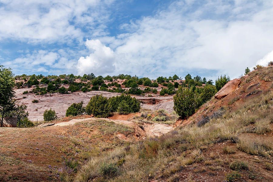 Arizona Landscape Photograph by Doug Long