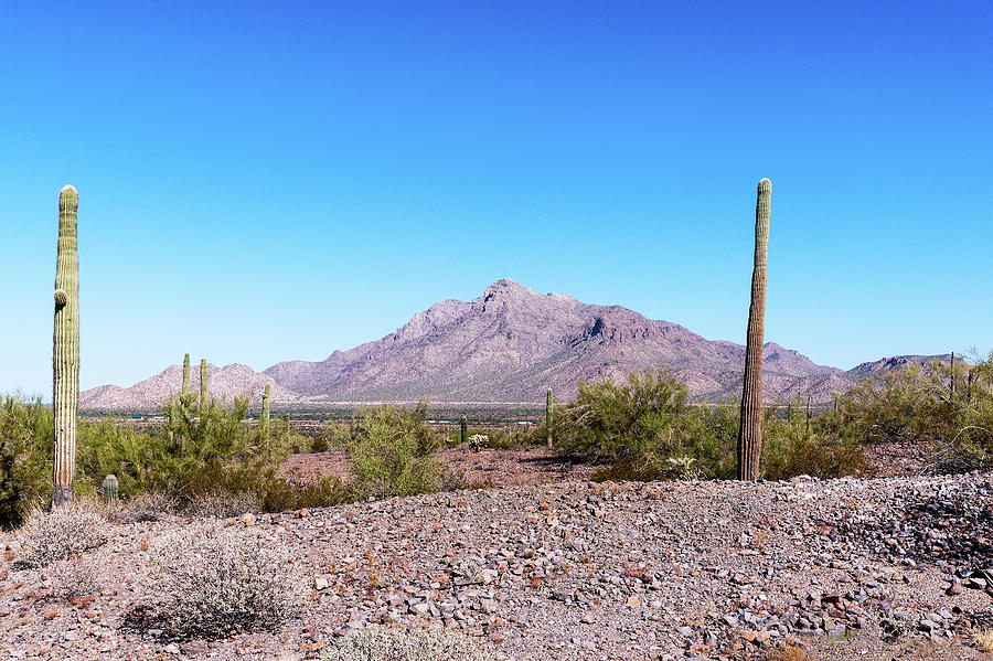 Arizona Landscape Photograph by Ed Peterson