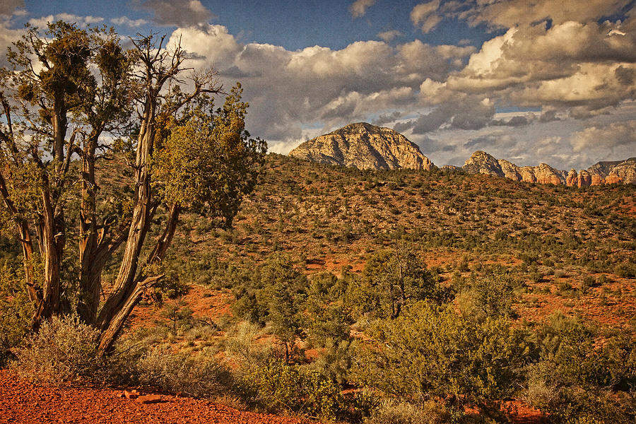 Arizona Landscape Text Photograph by Theo OConnor
