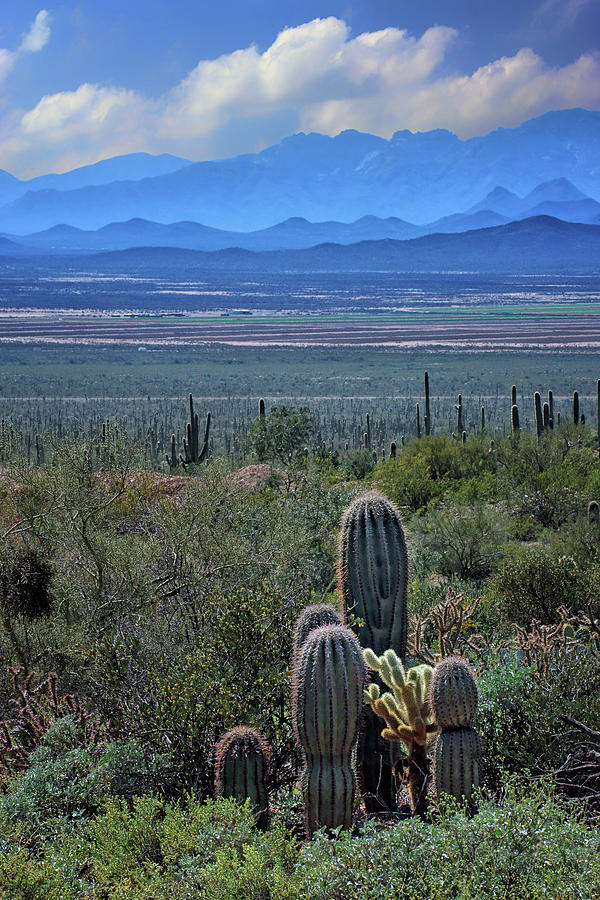 Arizona Layers Photograph by Nikolyn McDonald