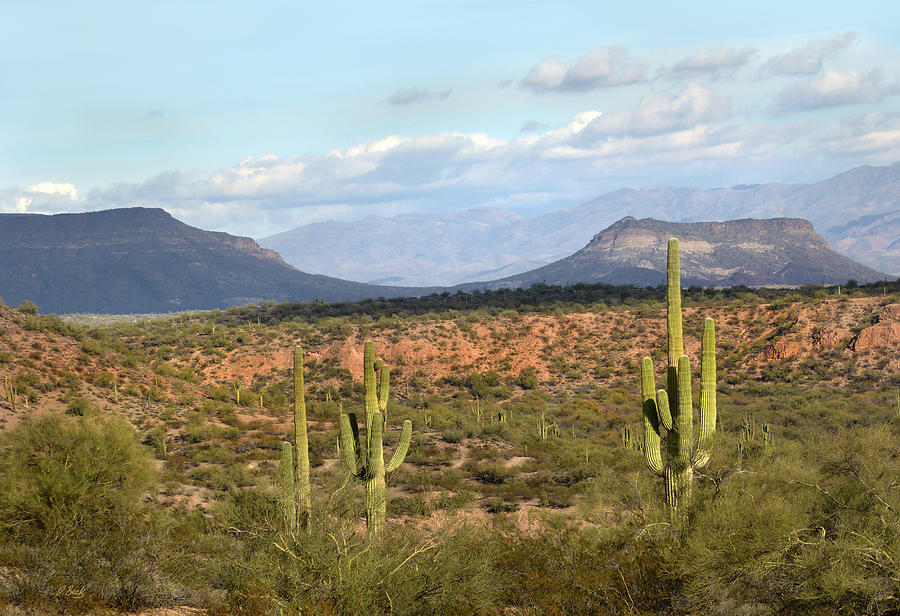 Arizona Mesas Photograph by Gordon Beck