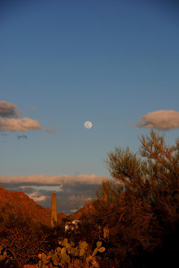 Arizona Moon II Photograph by Susanne Van Hulst