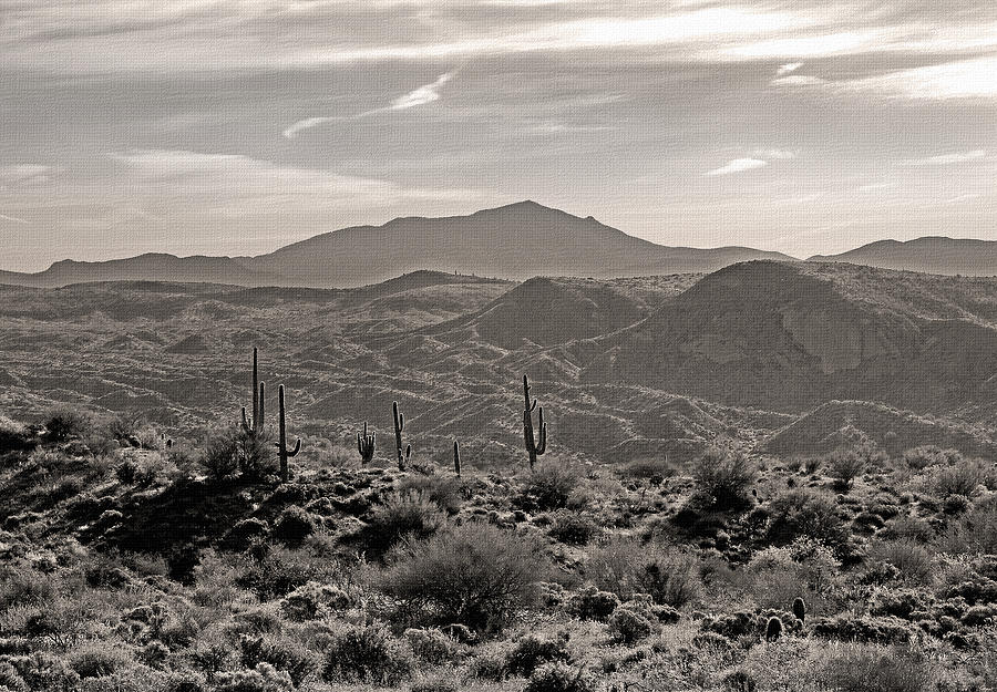 Arizona Morning Photograph by Gordon Beck