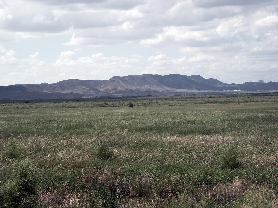 Landscape Photograph - Arizona Mountain Scene by Allison Whitener
