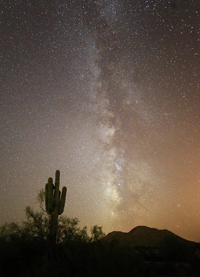 Arizona Night Photograph by Jean Clark
