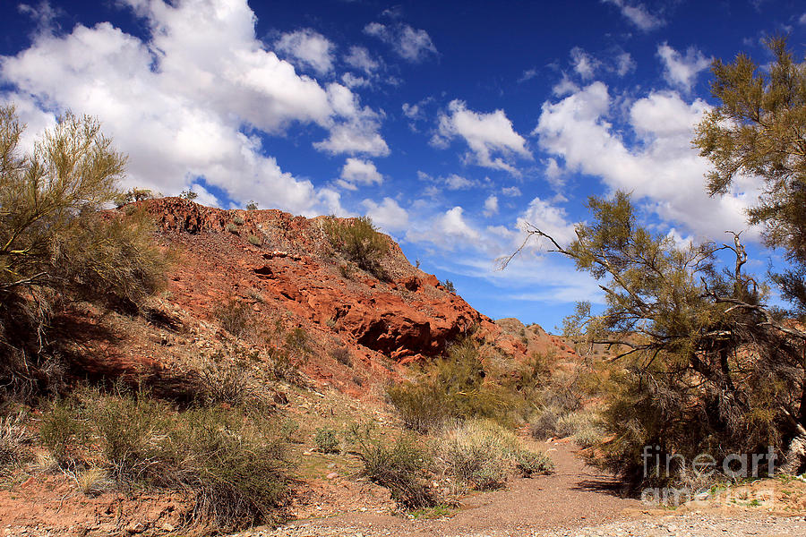 Arizona Red Rock Photograph by James Eddy
