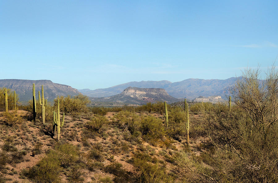 Arizona Remembered Photograph by Gordon Beck