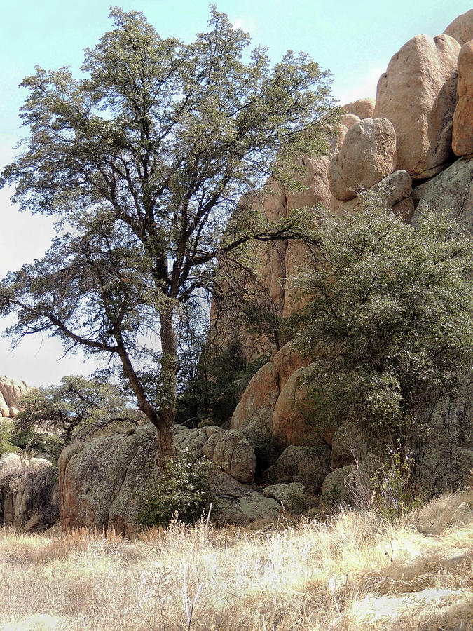 Arizona Rock Outcrop Photograph by Gordon Beck