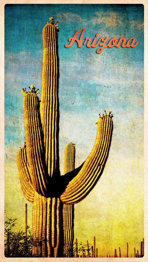 Arizona Saguaro Digital Art by Sandra Selle Rodriguez