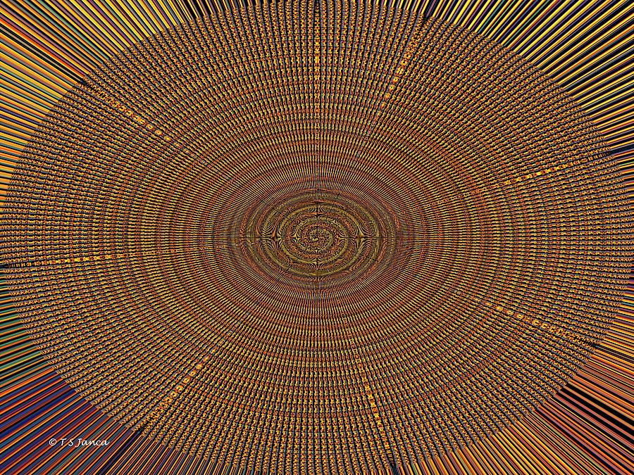 Arizona Saguaro Sunset Oval Abstract Digital Art by Tom Janca