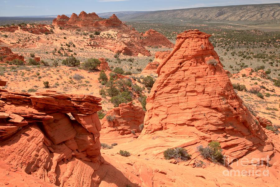 Us National Parks Photograph - Arizona Sandstone Landscape by Adam Jewell