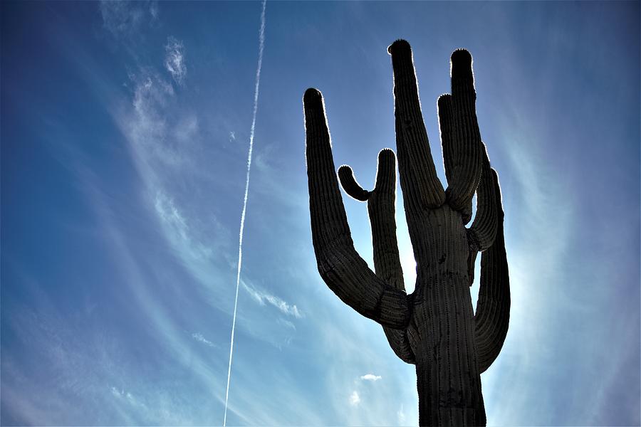 Arizona Sky Photograph by David S Reynolds