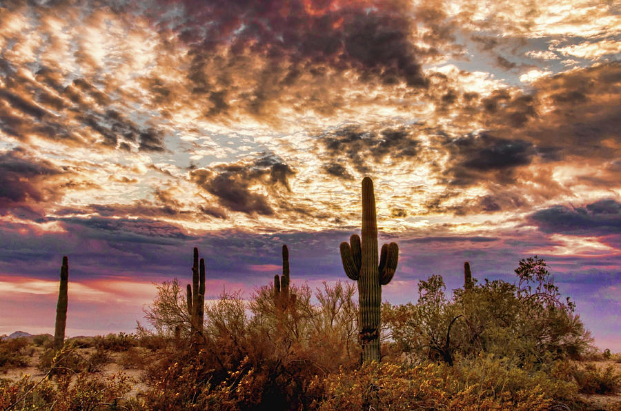 Arizona Sky Photograph by Ken Mickel