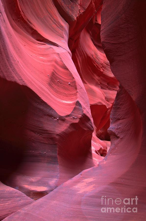 Pink Slot Canyon Abstract Photograph by Adam Jewell