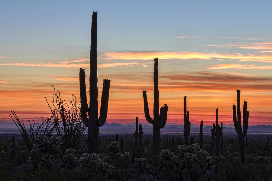 Arizona Sunrise Photograph by Ryan Seek - Fine Art America