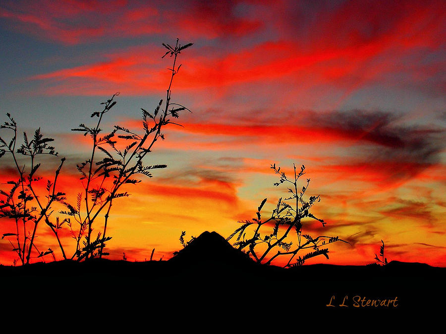 Arizona Sunset 12 Photograph by L L Stewart