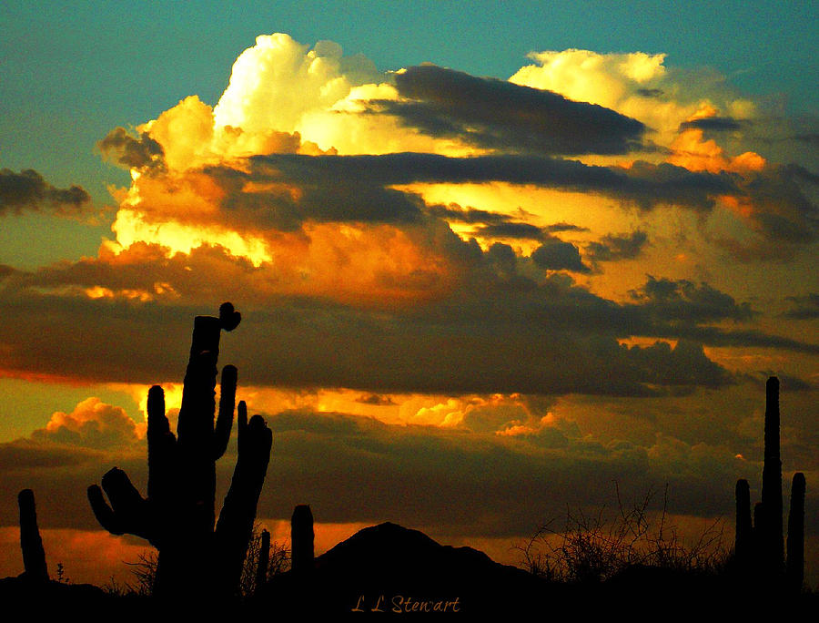 Arizona Sunset 5 Photograph by L L Stewart