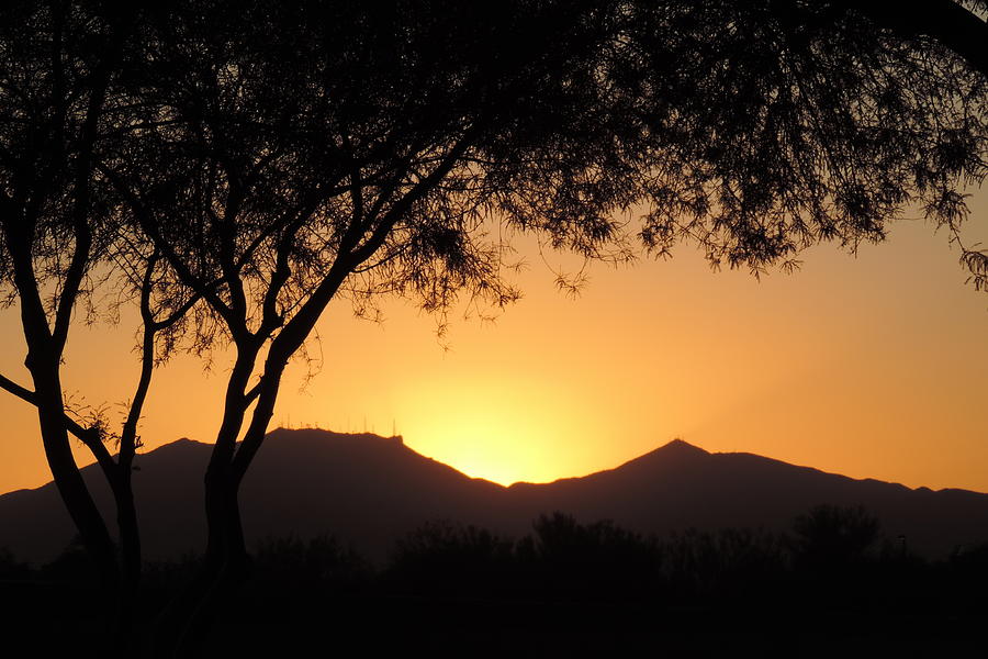 Arizona Sunset Photograph by Bill Tomsa