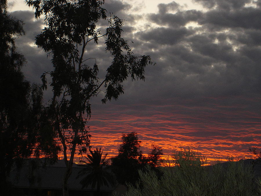 Arizona Sunset II Photograph by Lessandra Grimley