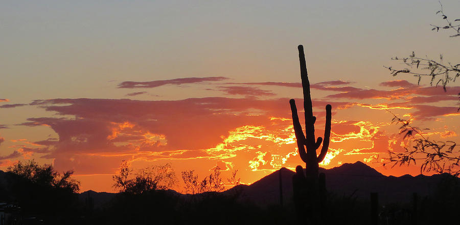 Arizona Sunset Photograph by Jean Clark