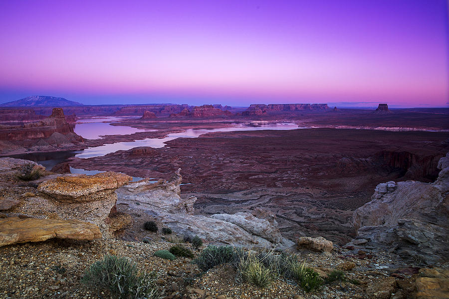 Arizona sunset Photograph by Jeff Shumaker