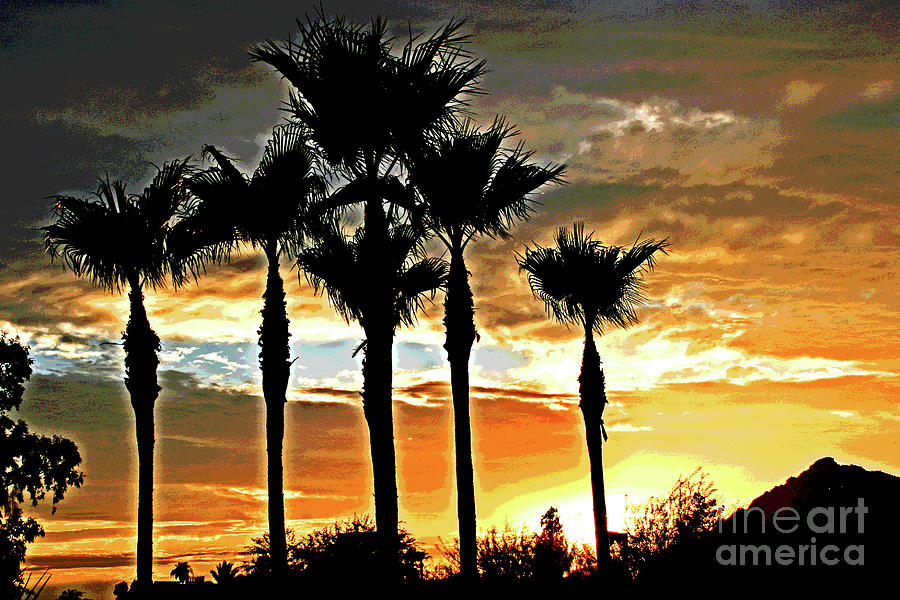 Arizona Sunset Photograph by Larry Oskin