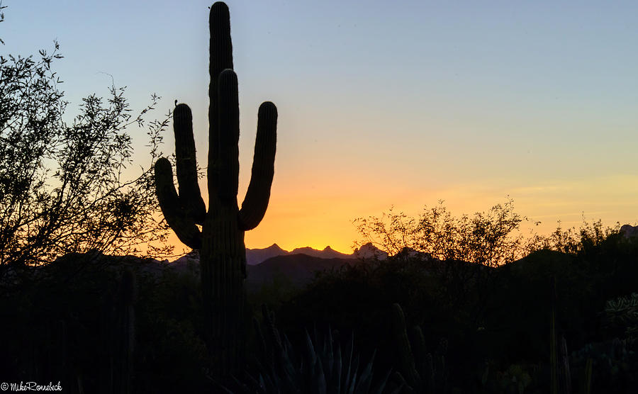 Arizona Sunset Photograph by Mike Ronnebeck