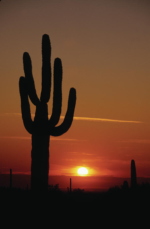 Sunset Photograph - Arizona Sunset by Susan  Benson