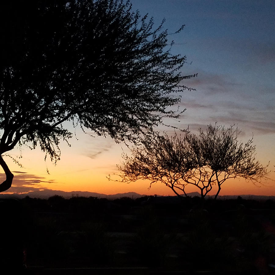 Arizona Sunset Photograph by Vic Ritchey