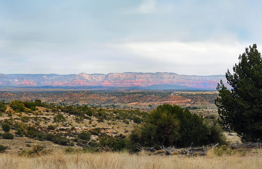 Arizona Territory  Photograph by Gordon Beck