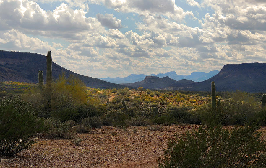 Scottsdale Photograph - Arizona Trails by Gordon Beck