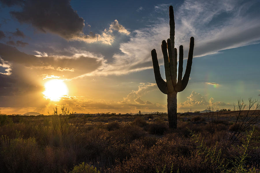 Arizona Vibes Photograph by Bryan Xavier