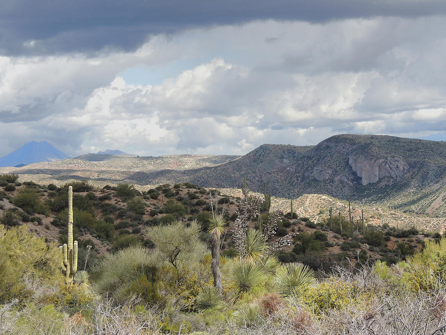Arizona Wilderness Photograph by Gordon Beck
