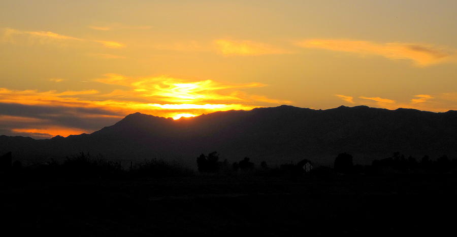 Arizona Winter Sunset Photograph by Lessandra Grimley