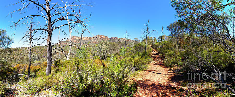 Arkaroo Rock hiking trail.Wilpena Pound Photograph by Bill Robinson