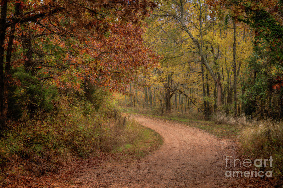 Arkansas Backroads by Larry McMahon Arkansas Backroads by Larry McMahon