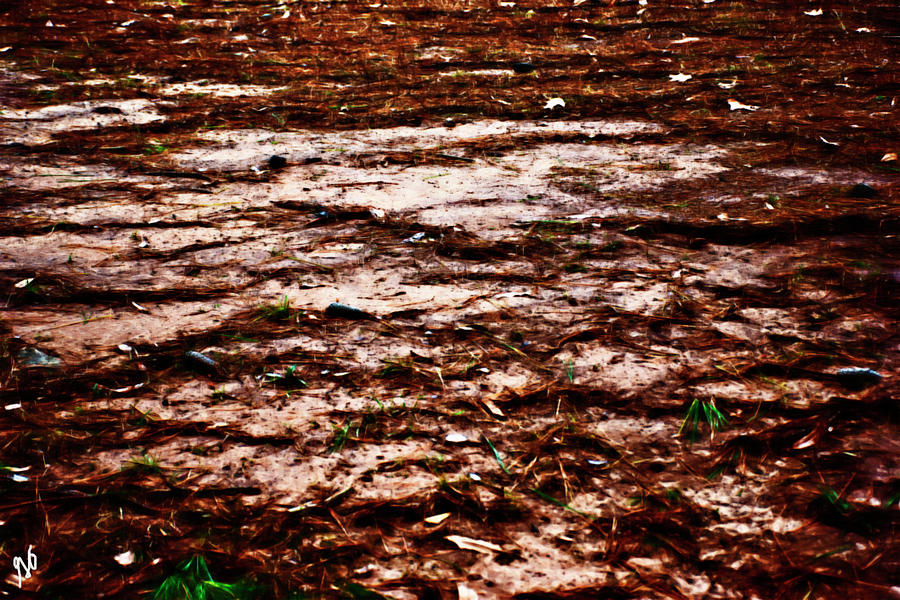 Arkansas Mud Photograph by Gina OBrien