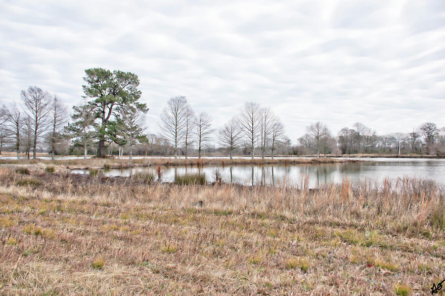 Arkansas Pond Landscape Photograph by Gina OBrien